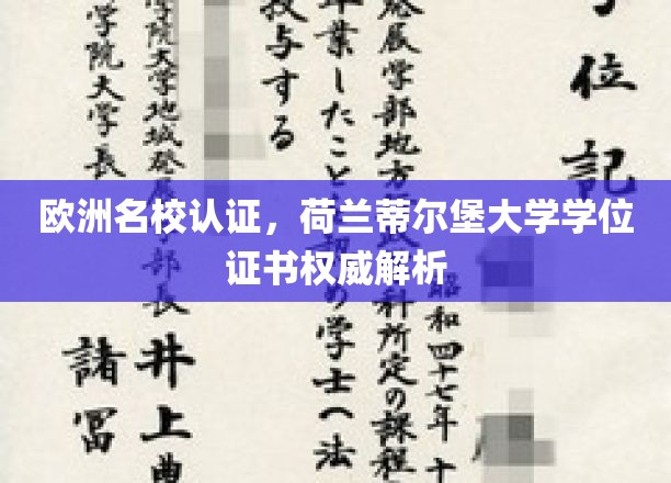 欧洲名校认证，荷兰蒂尔堡大学学位证书权威解析