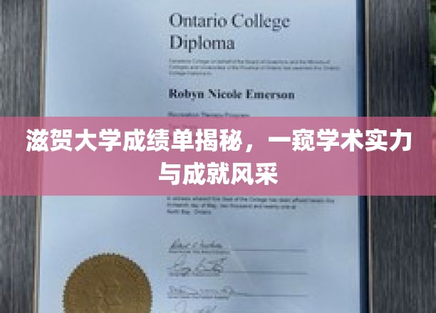 滋贺大学成绩单解读，一探学术实力与成就风采