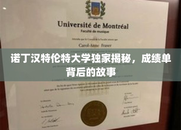 揭开成绩单背后的神秘面纱，诺丁汉特伦特大学的独家解读