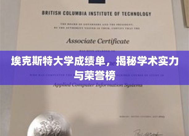 埃克斯特大学成绩单，揭秘学术实力与荣誉榜