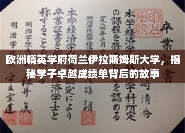欧洲精英学府荷兰伊拉斯姆斯大学，揭秘学子卓越成绩单背后的故事