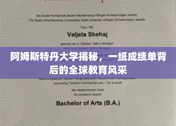 阿姆斯特丹大学揭秘，一纸成绩单背后的全球教育风采