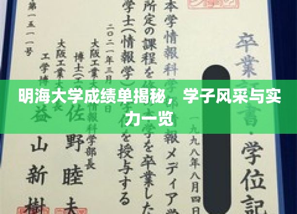 明海学子实力大揭秘，成绩单背后的风采与才华
