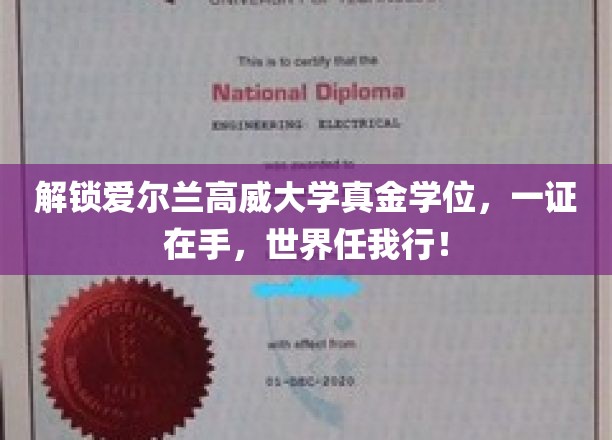 解锁爱尔兰高威大学真金学位，一证在手，世界任我行！