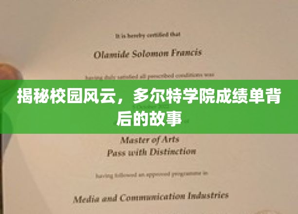 揭秘校园风云，多尔特学院成绩单背后的故事