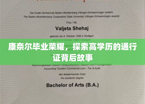 高学历荣耀背后的康奈尔传奇，解锁精英之路的奥秘