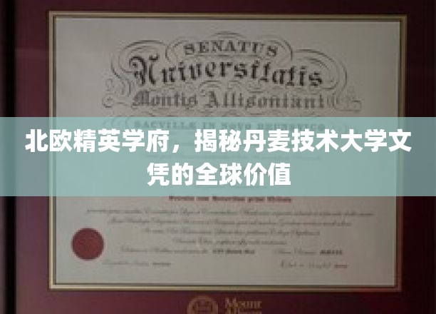 北欧精英学府，揭秘丹麦技术大学文凭的全球价值