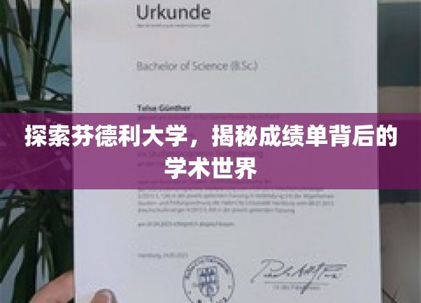 解码芬德利大学，揭开成绩单背后的学术奥秘