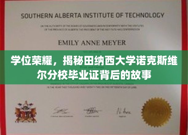 学位荣耀，揭秘田纳西大学诺克斯维尔分校毕业证背后的故事