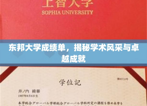 东邦精英档案，探寻学术璀璨背后的卓越足迹