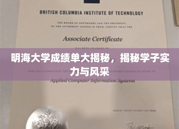 明海大学成绩单大揭秘，探秘学子实力与风采