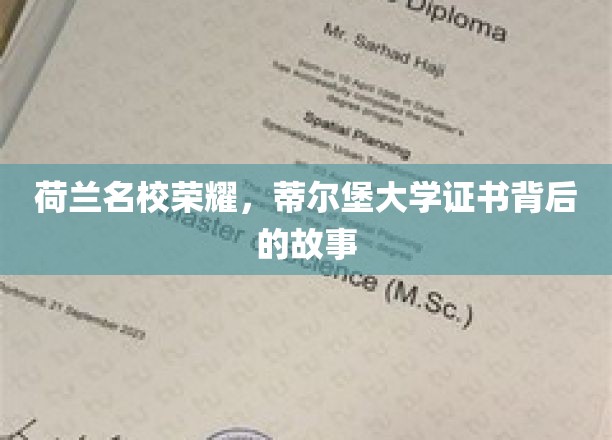 荷兰名校荣耀，蒂尔堡大学证书背后的故事