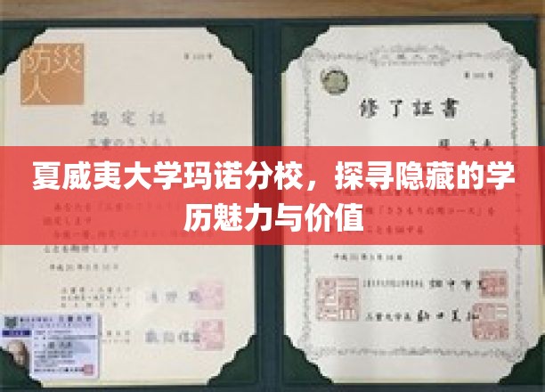 解码夏威夷大学玛诺分校，学历背后的独特魅力与无限潜能