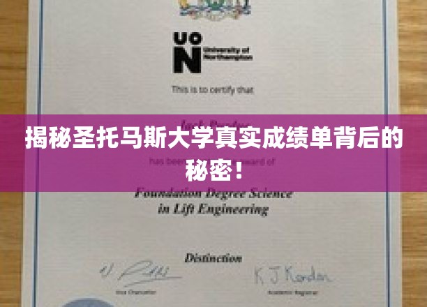 探秘圣托马斯大学，揭秘真实成绩单背后的惊人真相