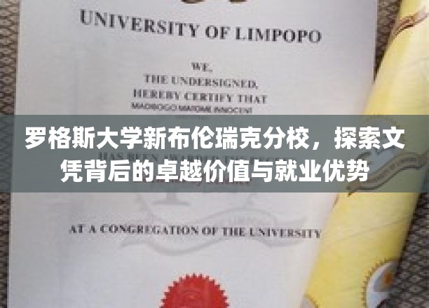 解码罗格斯新布伦瑞克，文凭力量与职场精英之路