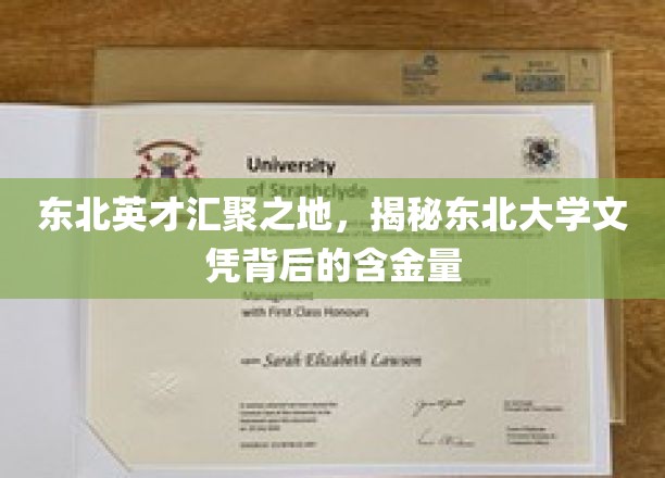 东北精英摇篮，揭秘东北大学文凭的珍贵价值