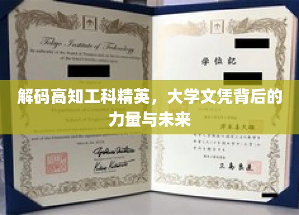 揭秘高知工科精英，学历背后的潜能与职业发展之路