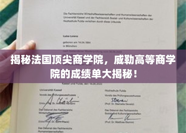 揭秘法国顶尖商学院，威勒高等商学院的成绩单大揭秘！