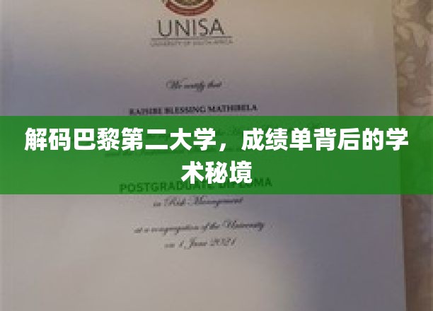 探索巴黎第二大学，揭开成绩单背后的学术奥秘