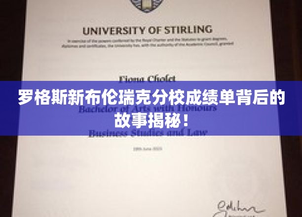 罗格斯新布伦瑞克分校成绩单，揭开背后的不为人知故事