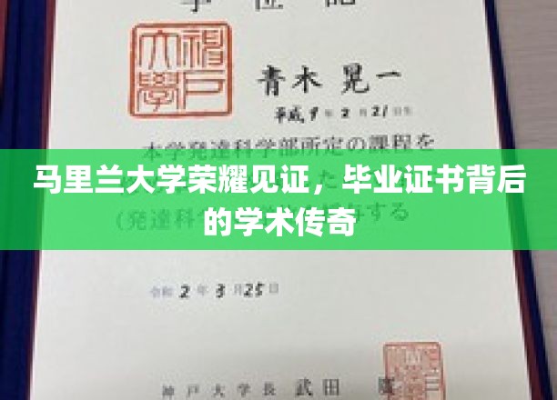 马里兰大学荣耀见证，毕业证书背后的学术传奇