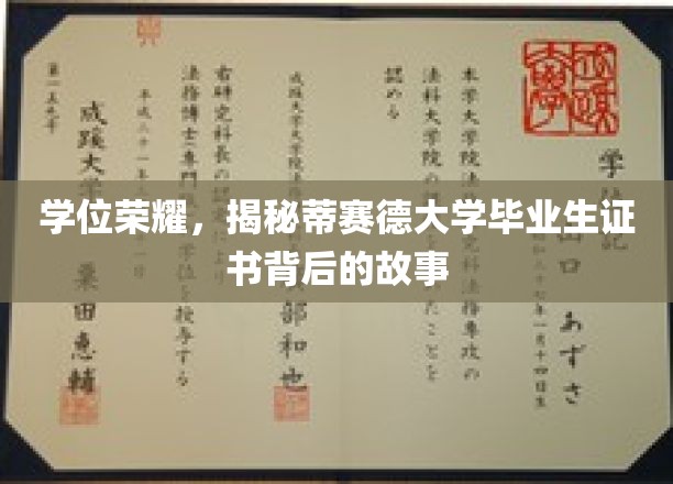 荣耀证书背后的传奇，蒂赛德大学毕业生故事的揭秘之旅