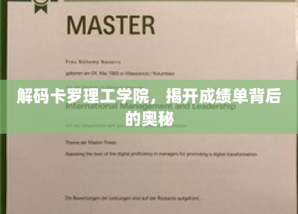 解码卡罗理工学院，揭开成绩单背后的奥秘