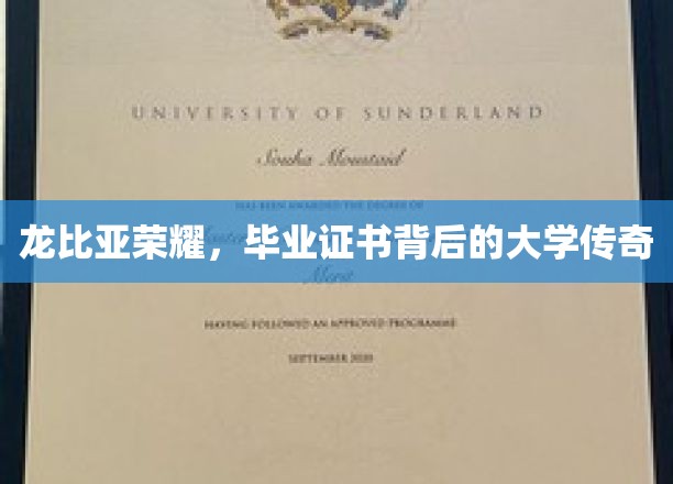 解码龙比亚荣耀，毕业证书背后揭秘的不凡大学传奇