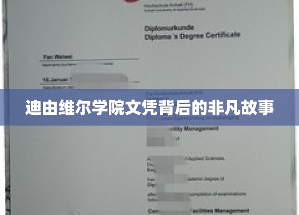 揭秘迪由维尔学院，文凭背后的传奇历程