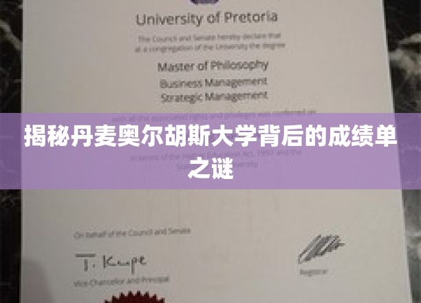 揭秘丹麦奥尔胡斯大学背后的成绩单之谜