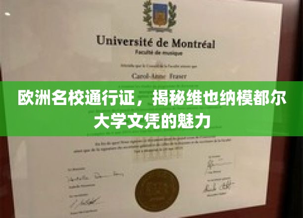 欧洲名校通行证，揭示维也纳模都尔大学文凭的魅力