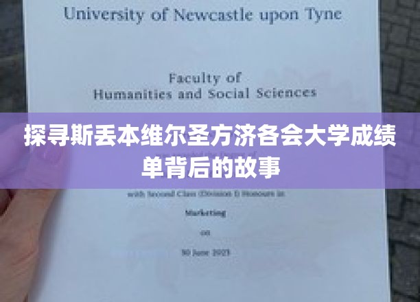 解码斯丢本维尔圣方济各会大学成绩单的神秘面纱