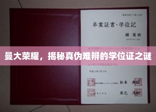 曼大荣耀，揭秘真伪难辨的学位证之谜
