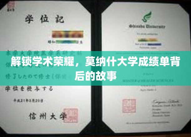 解锁学术荣耀，莫纳什大学成绩单背后的故事