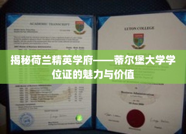 荷兰顶级学府蒂尔堡大学，学位证书背后的独特魅力与无限价值