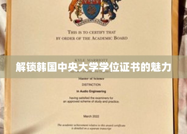 韩国中央大学学位证书，揭秘其独特魅力与价值