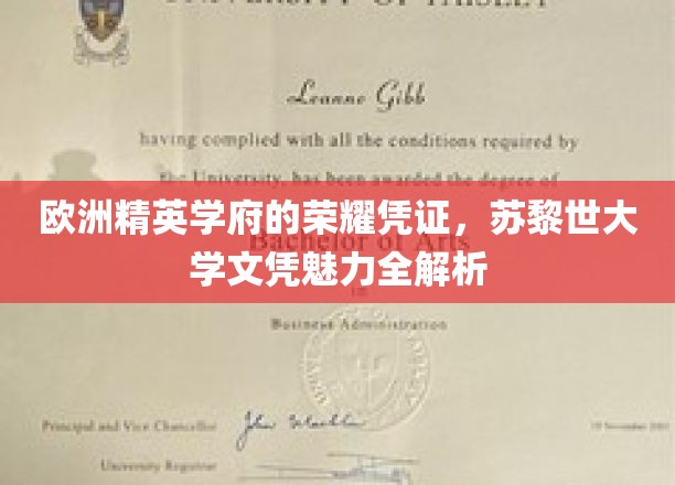 苏黎世大学文凭，解码欧洲精英教育的璀璨名片