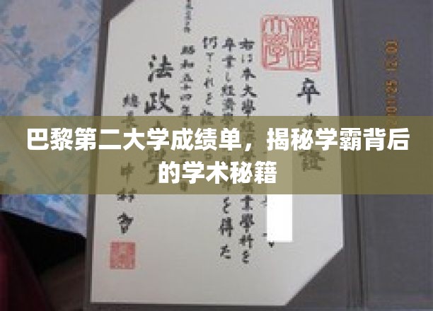 探索学霸奥秘，巴黎第二大学成绩单背后的学术攻略全解析