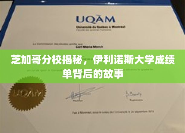解码伊利诺斯大学，芝加哥分校背后的成绩单传奇