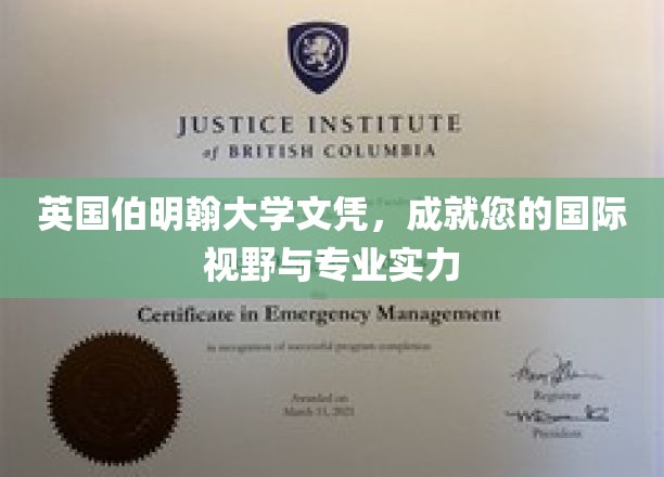 解锁全球视野，伯明翰大学文凭助您迈向专业巅峰
