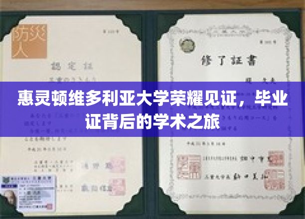 惠灵顿维多利亚大学荣耀见证，毕业证背后的学术之旅