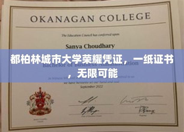 都柏林城大荣耀证，开启人生无限可能之旅