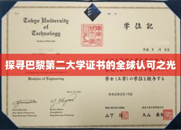 巴黎第二大学证书，国际通行证的璀璨光芒