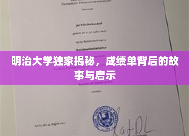 明治大学独家揭秘，成绩单背后的故事与启示