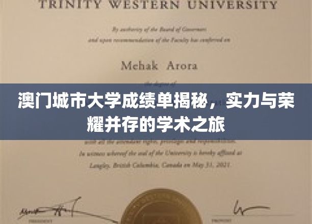 澳门城市大学，揭秘荣耀背后的学术实力与成就之旅