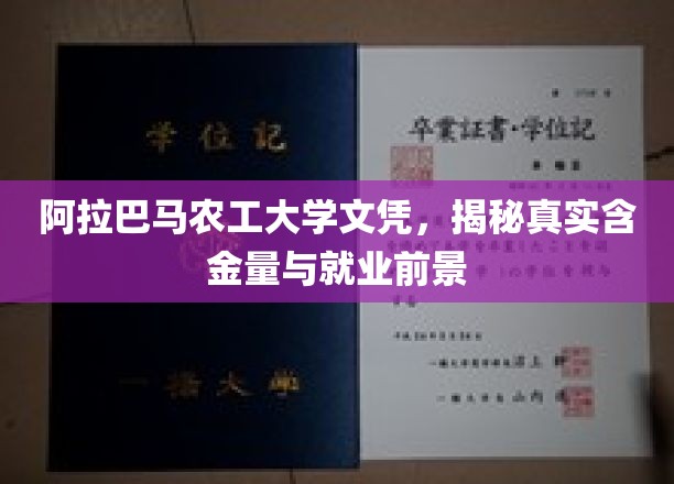 阿拉巴马农工大学文凭价值揭秘，解析含金量与未来职场潜力