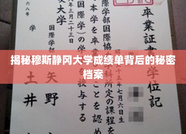 穆斯静冈大学成绩单，探寻隐藏其中的不为人知真相