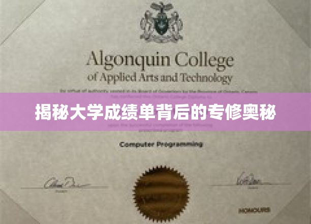 大学成绩单中的隐藏秘密，揭秘专修之路的惊人真相