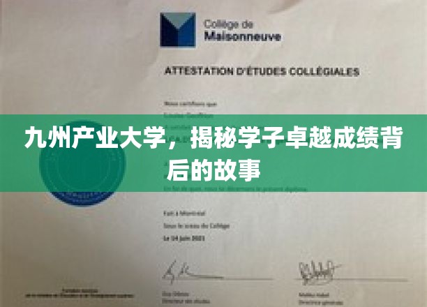 九州产业大学，揭秘学子卓越成绩背后的故事