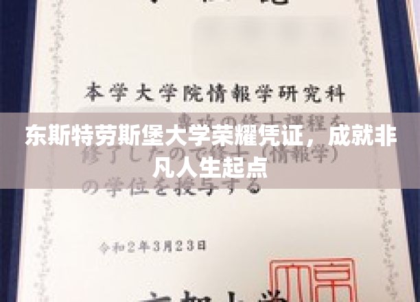 启航非凡，东斯特劳斯堡大学荣耀证书，铸就人生巅峰起点